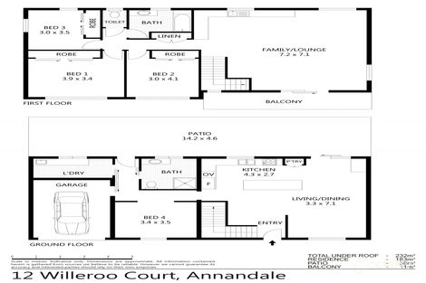 12 Willeroo Ct, Annandale, QLD 4814