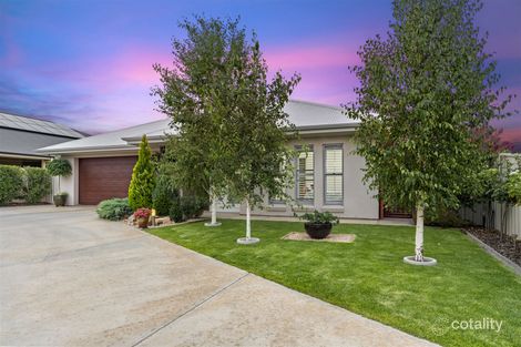 Property photo of 33 Barrington Street Renmark SA 5341