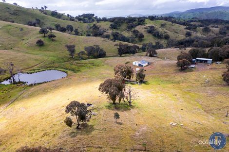 2919 Taylors Flat Rd, Reids Flat, NSW 2586