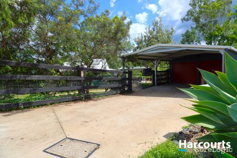 Property photo of 11 Cockatoo Court Apple Tree Creek QLD 4660