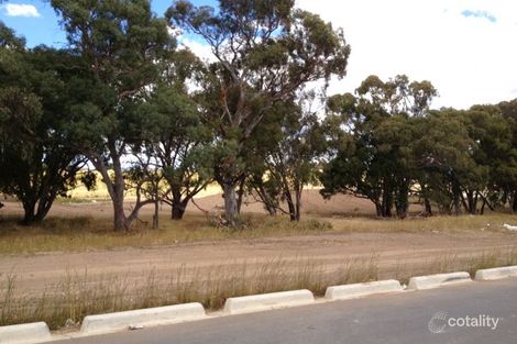 Property photo of 9 Annie Douglas Street Casey ACT 2913