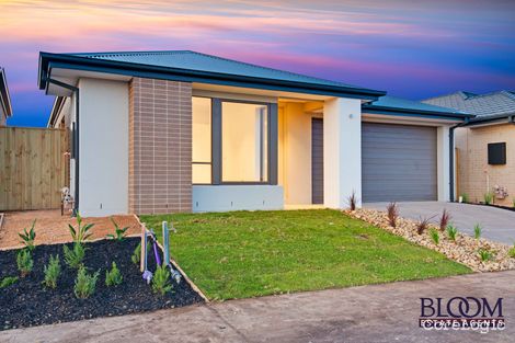 Property photo of 34 Caucasus Street Truganina VIC 3029