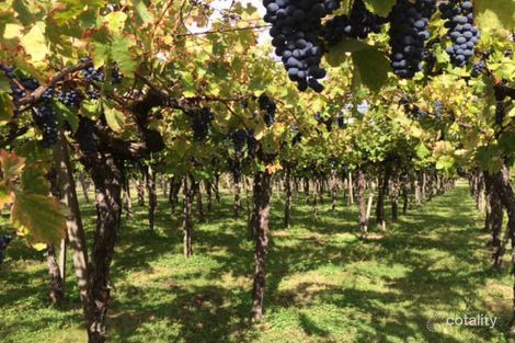 89 Rostella Rd, Dilston, TAS 7252