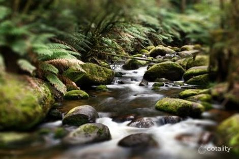 Lot 101 Carrington Rd, Bonogin, QLD 4213