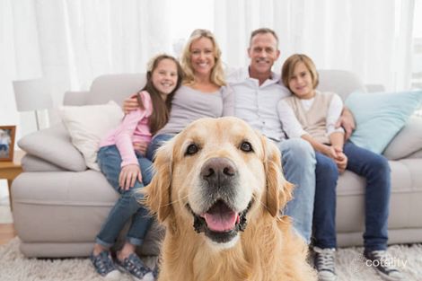 Property photo of 20 Crows Ash Avenue Edgeworth NSW 2285