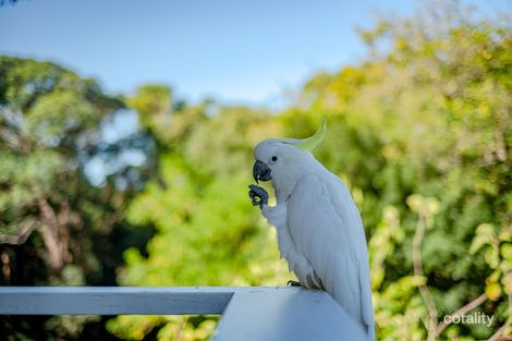 Property photo of 21 Beach Drive Killcare NSW 2257