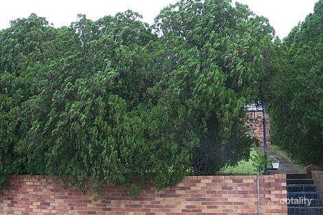 153 Raeburn St, Manly West, QLD 4179