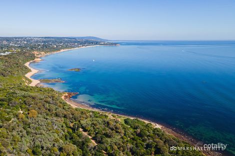 Property photo of 8 Ti-Tree Grove Mornington VIC 3931