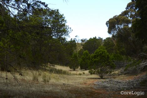 Property photo of 181 Old Murray Road Callington SA 5254