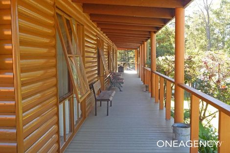 Property photo of 18 Stringy Bark Crescent Yarravel NSW 2440