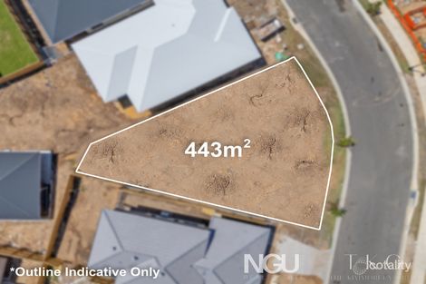 41 Soapberry Cct, Collingwood Park, QLD 4301