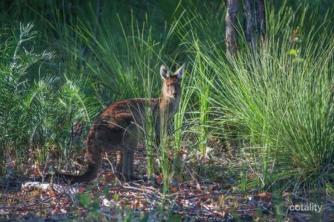 Property photo of 6/62 Orchid Ramble Margaret River WA 6285