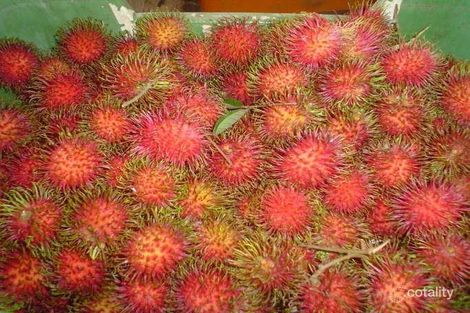 Property photo of 45 Webb Road Lambells Lagoon NT 0822