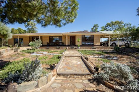 61 Waits Rd, Bungama, SA 5540