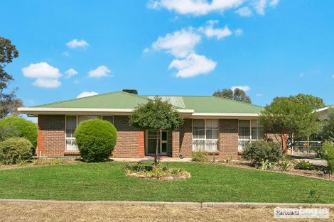 Property photo of 11 Heinrich Road Freeling SA 5372