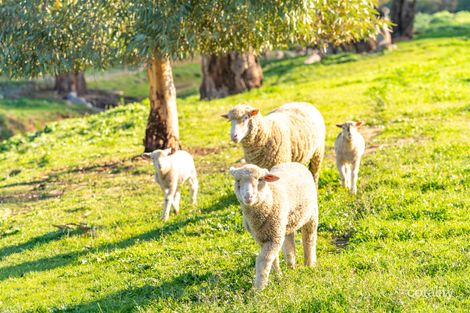 30 Goodacre Dr, Woodstock, NSW 2793