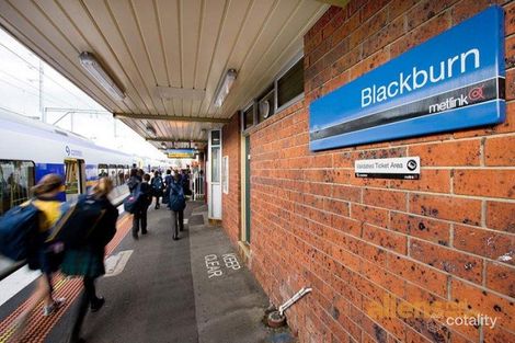 Property photo of 50A Hibiscus Road Blackburn North VIC 3130