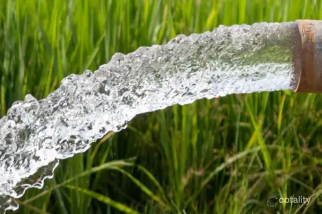 1378 Kingsthorpe Haden Rd, Boodua, QLD 4401