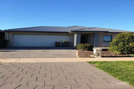 Property photo of 6 Lynch Street Evanston Gardens SA 5116