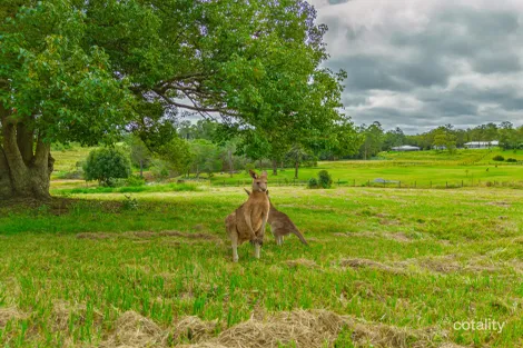 Property photo of 27 McMurtrie Road Chatsworth QLD 4570
