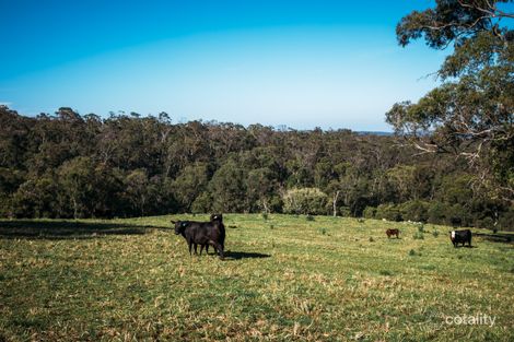 401 Black Spring Rd, High Range, NSW 2575