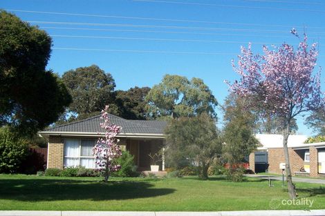 20 Fountain Dr, Narre Warren, VIC 3805