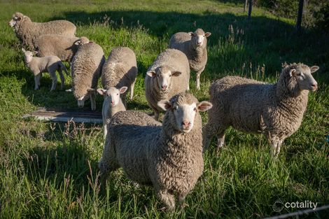 Property photo of 203 Nettle Hill Road Hindmarsh Valley SA 5211