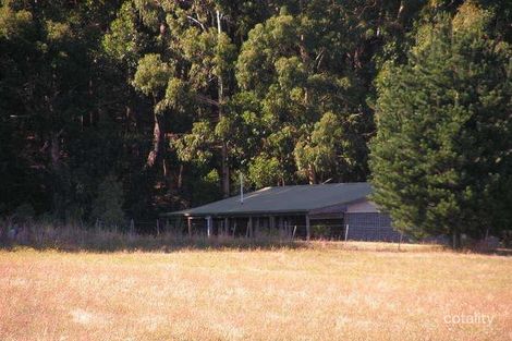 172 Currys Rd, Musk, VIC 3461