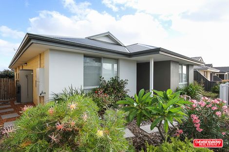 5 Paludosa Link, Banksia Grove, WA 6031