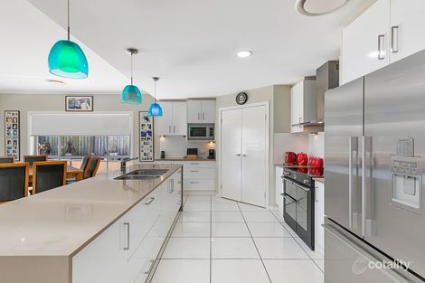 Property photo of 4 Butternut Circuit Thornlands QLD 4164