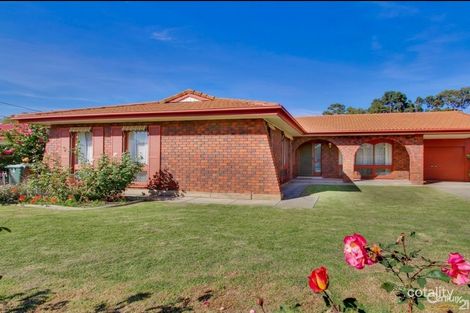Property photo of 8 Jacob Street Marion SA 5043