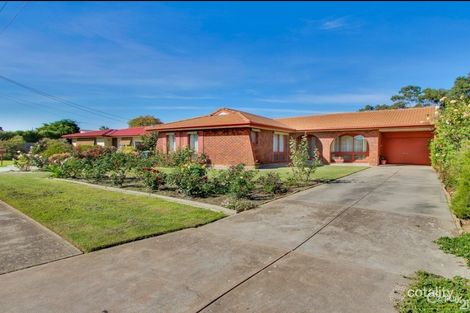 8 Jacob St, Marion, SA 5043