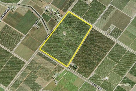 213 Murray Rd, Yoogali, NSW 2680