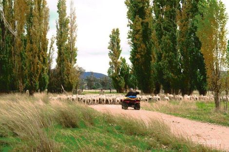 1004 Amaroo Way, Eugowra, NSW 2806