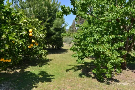 Property photo of 20 Kurrajong Road Bugaldie NSW 2357