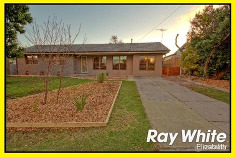 24 Berryman Dr, Modbury, SA 5092