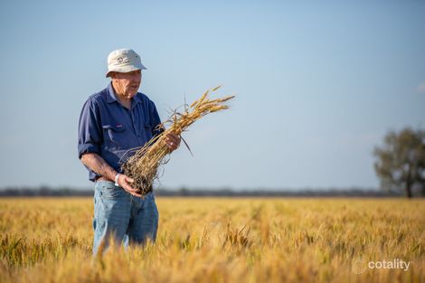 2506 Goonal Rd, Bullarah, NSW 2400