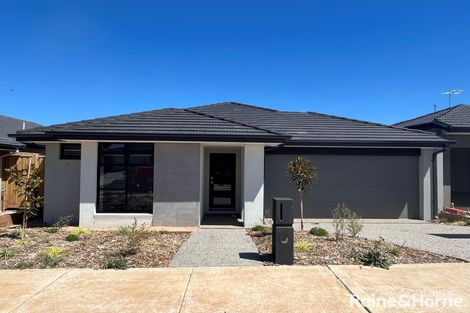53 Saric St, Fraser Rise, VIC 3336