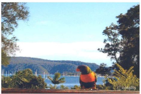 Property photo of 95 George Street Avalon Beach NSW 2107