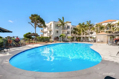 Property photo of 55/437 Golden Four Drive Tugun QLD 4224