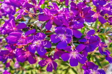 Property photo of 23 Burrawong Parade Urunga NSW 2455