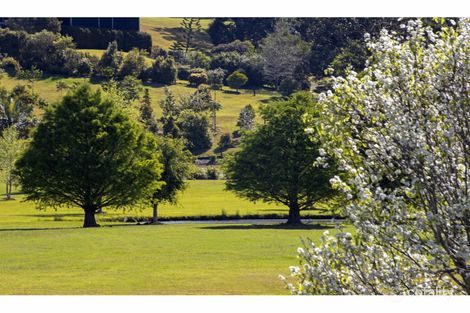 25 White Gum Pl, North Maleny, QLD 4552