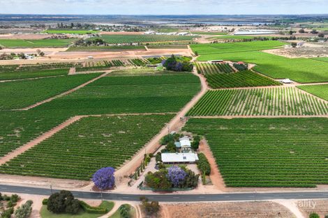 Property photo of 139 Woolston Road Monash SA 5342