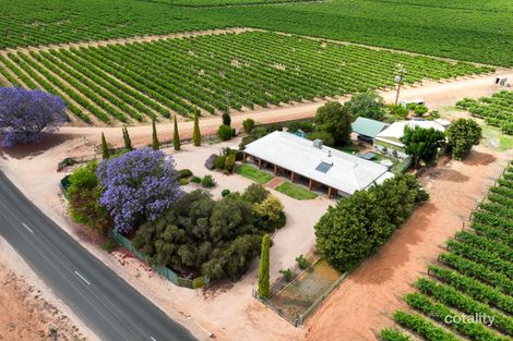 Property photo of 139 Woolston Road Monash SA 5342