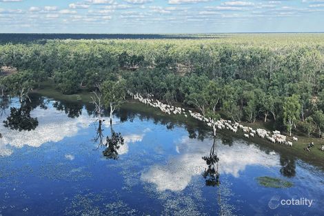 Burke Developmental Rd, Normanton, QLD 4890