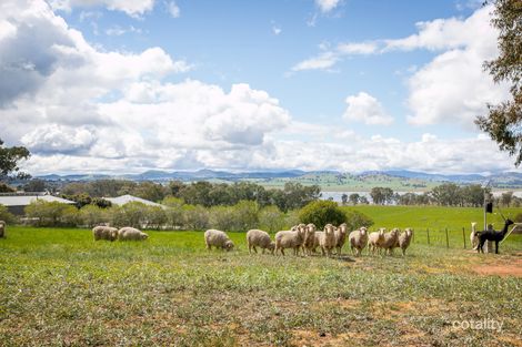 Property photo of 1064 Table Top Road Table Top NSW 2640