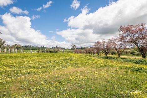 Property photo of 1064 Table Top Road Table Top NSW 2640
