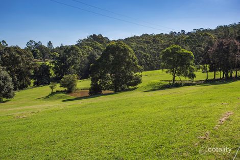 Property photo of 1110 Illaroo Road Tapitallee NSW 2540