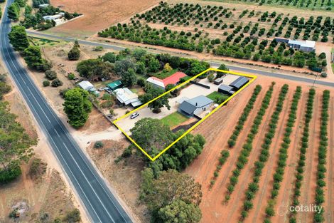 Property photo of 24 Middleton Road Loxton SA 5333