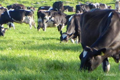 261 Farys Rd, Panmure, VIC 3265